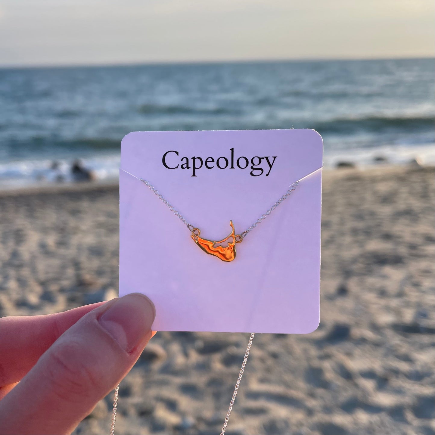 Two-Toned Nantucket Necklace