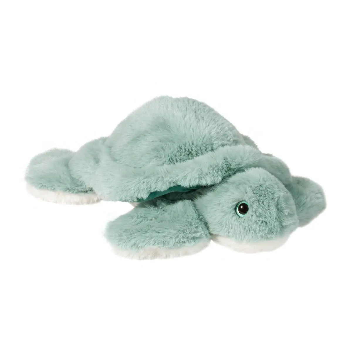 Lil' Baby Turtle