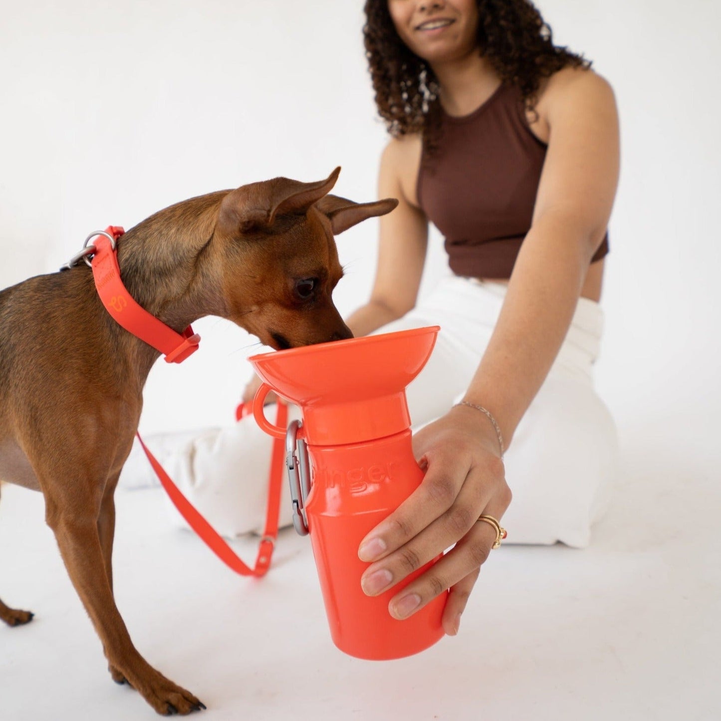 15oz Original Springer Dog Travel Water Bottle