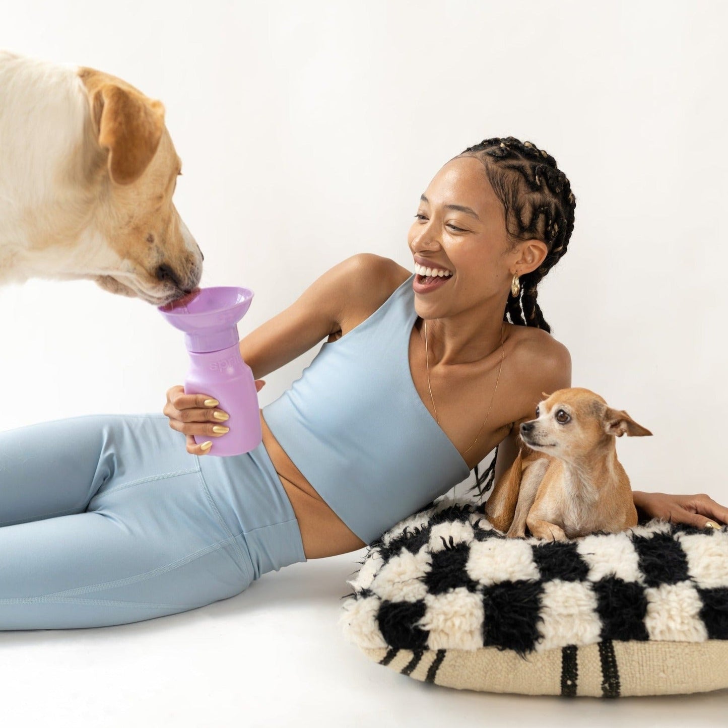 15oz Original Springer Dog Travel Water Bottle