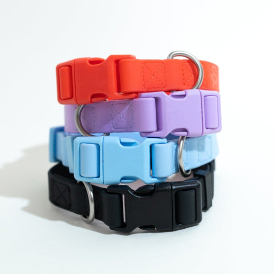 The Dog Collar