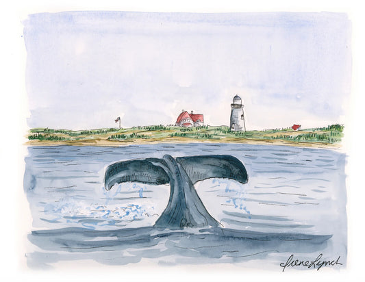 Whale Watching - 5x7 Matte Print