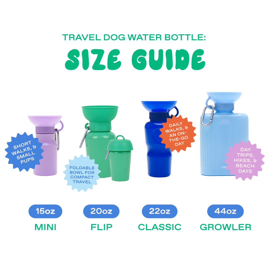 22oz Original Springer Dog Travel Water Bottle