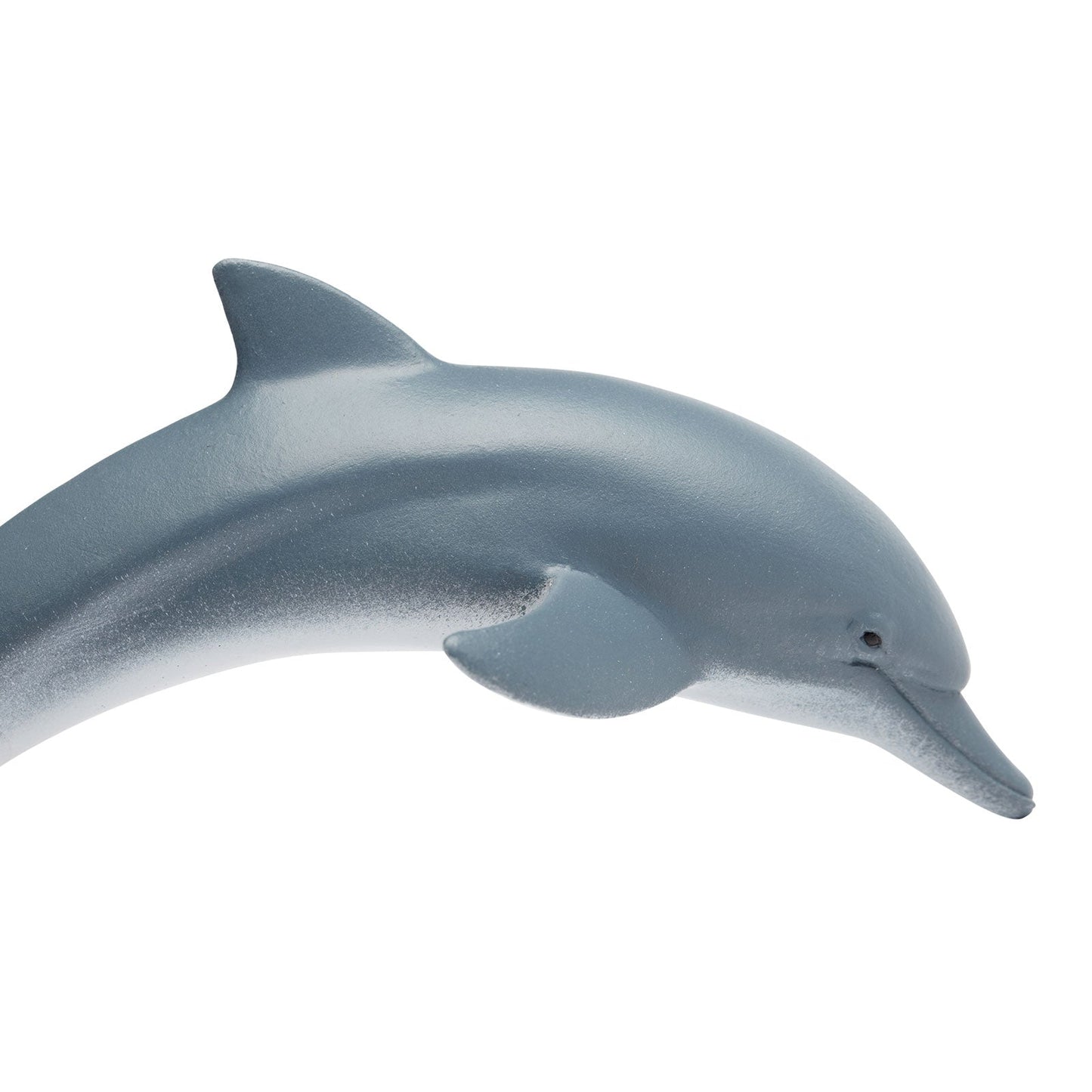 Safari Ltd Dolphin figurine top view