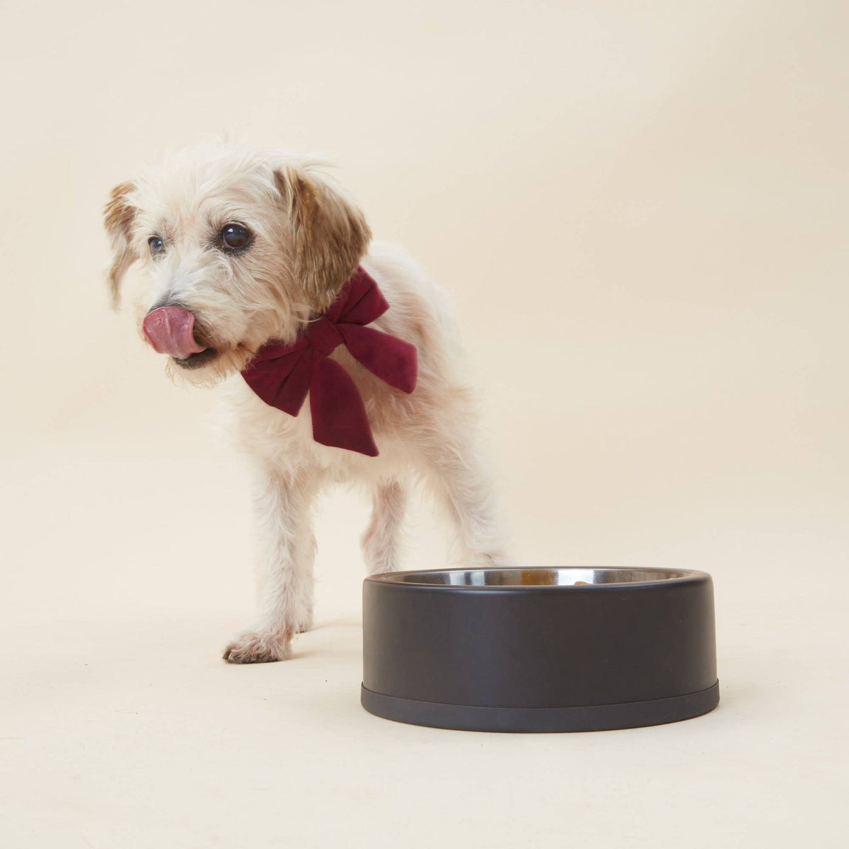 Burgundy Velvet Lady Dog Bow