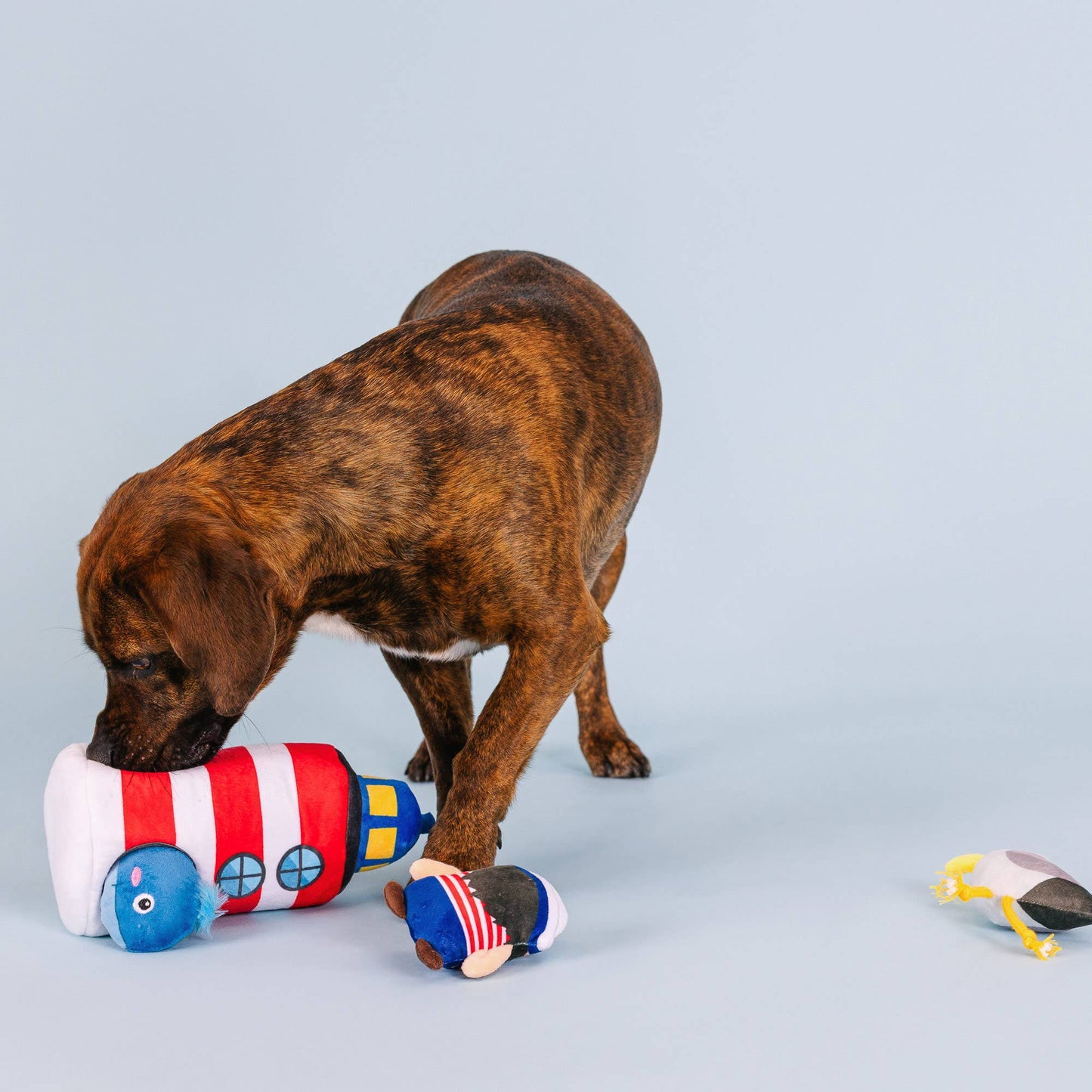 SHIPS AHOY HIDE & SEEK DOG TOY