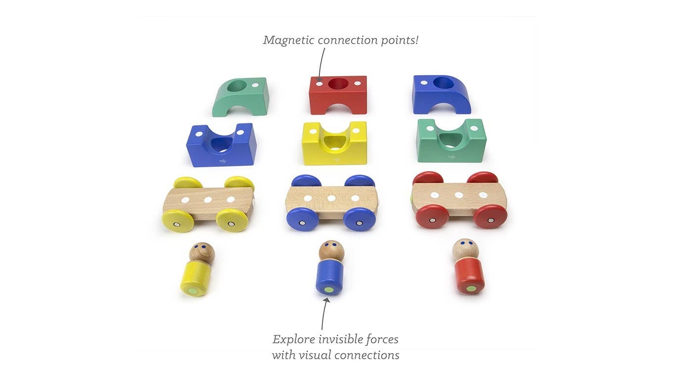 Magnetic Tegu Tram: Rainbow
