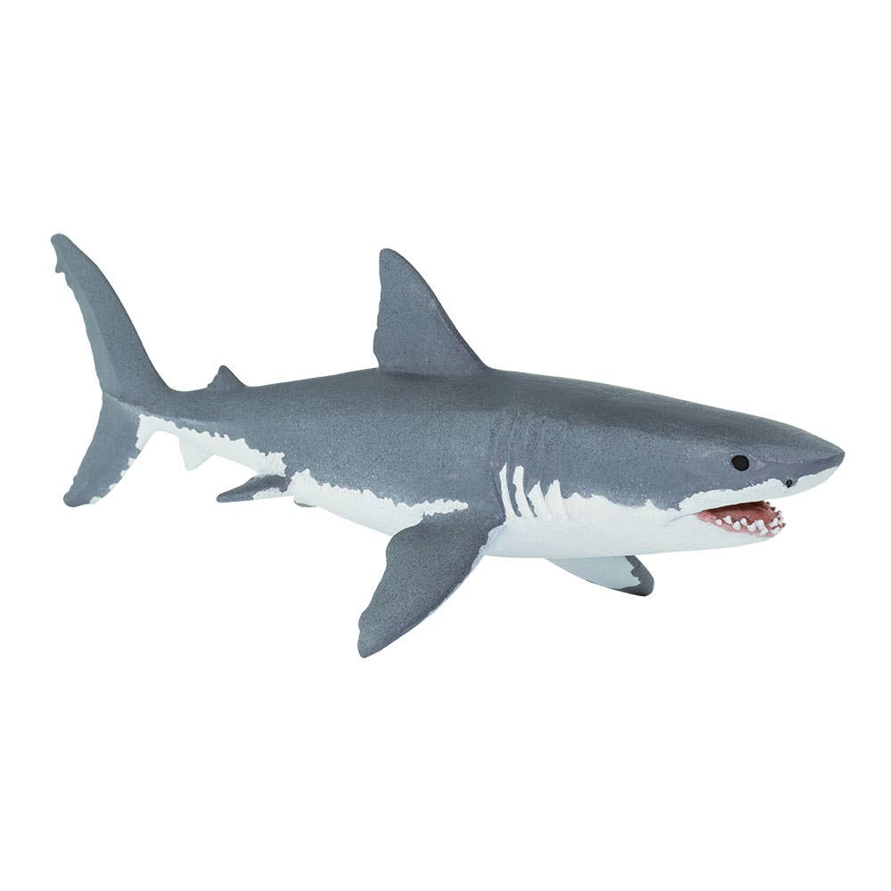 Great White Shark - 200729
