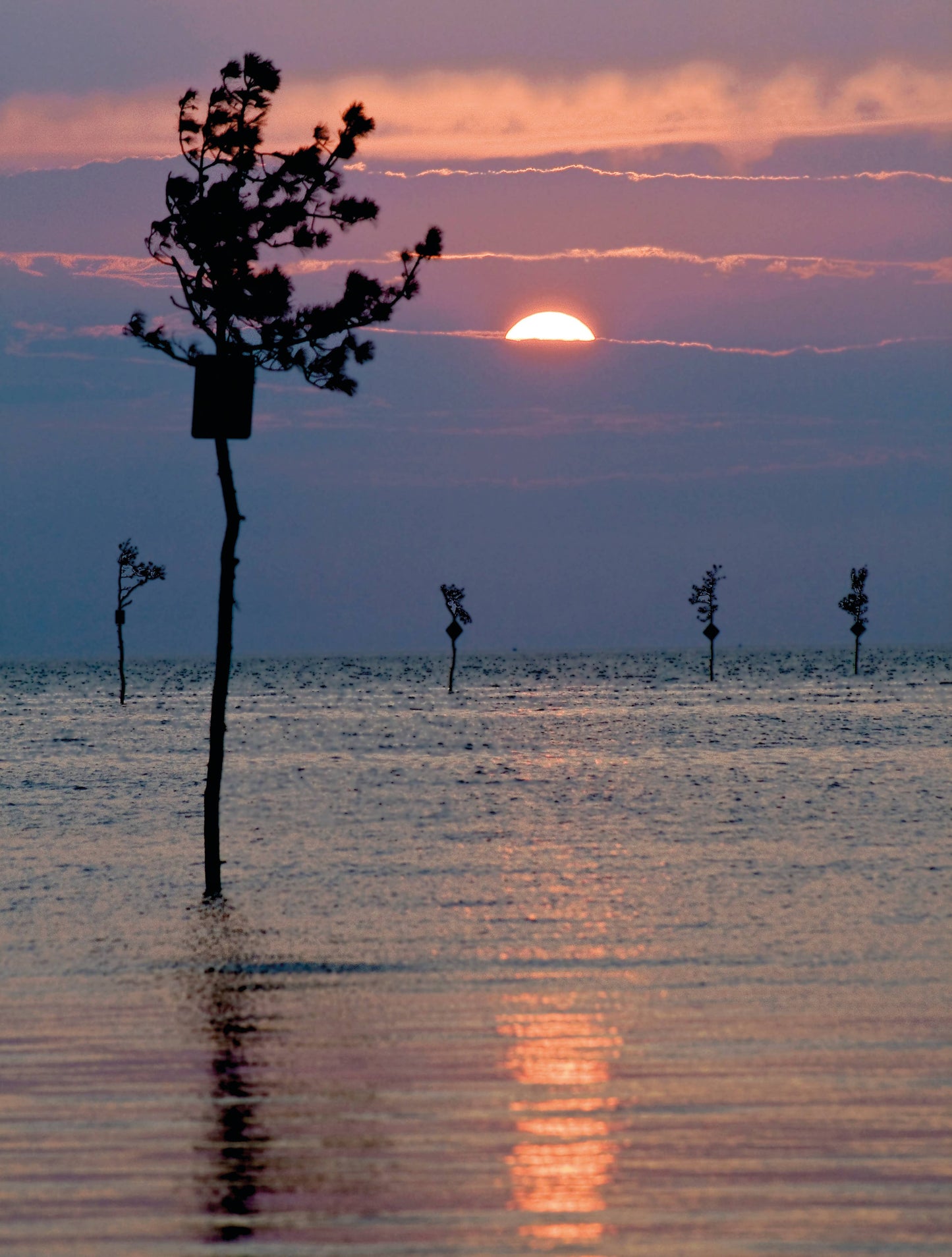 Cape Cod & the Islands Reflections