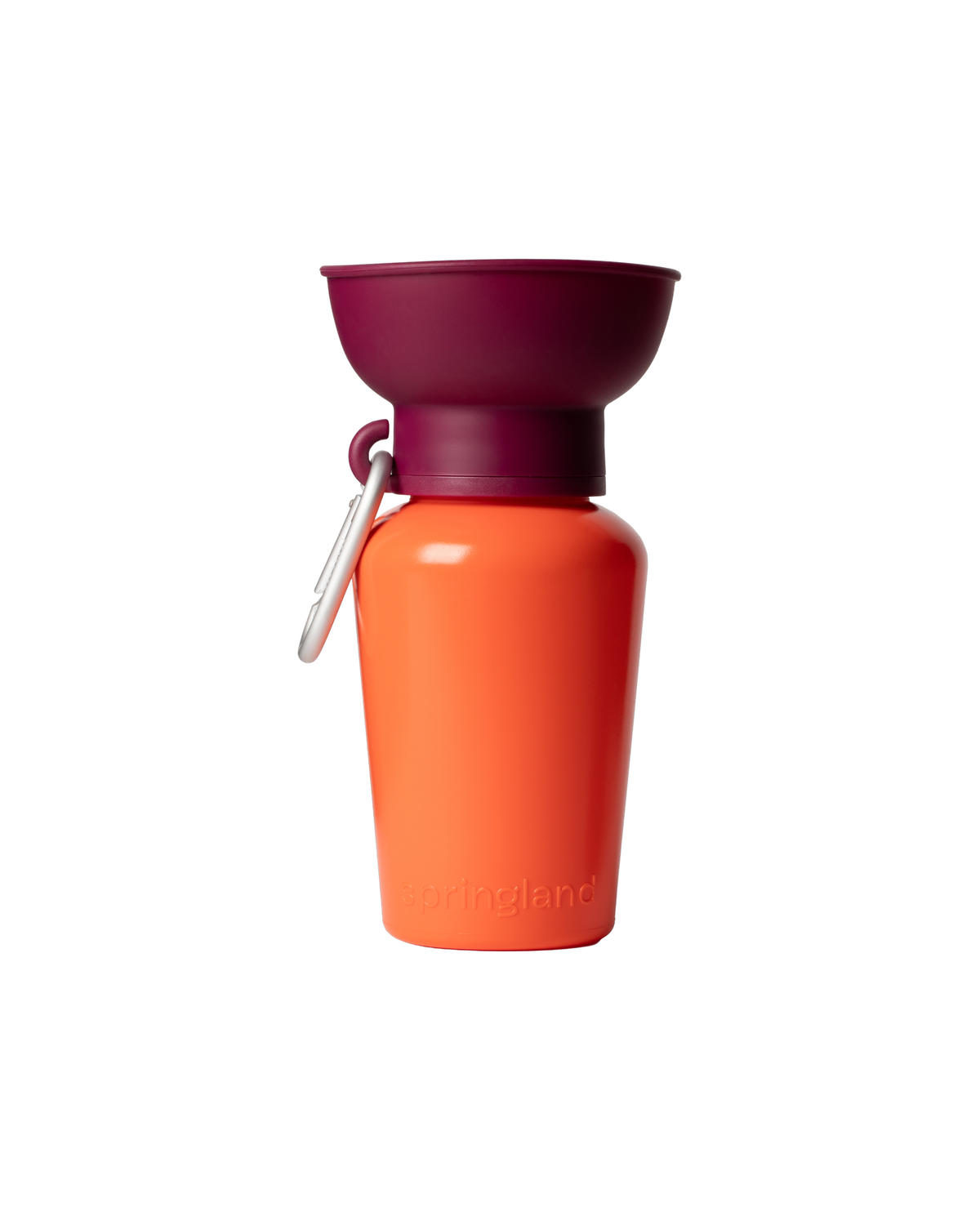 20oz Flip Springer Dog Travel Water Bottle