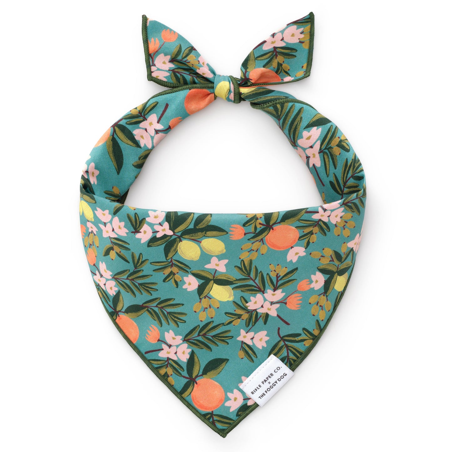Rifle Paper Co. x TFD Citrus Floral Dog Bandana: Large