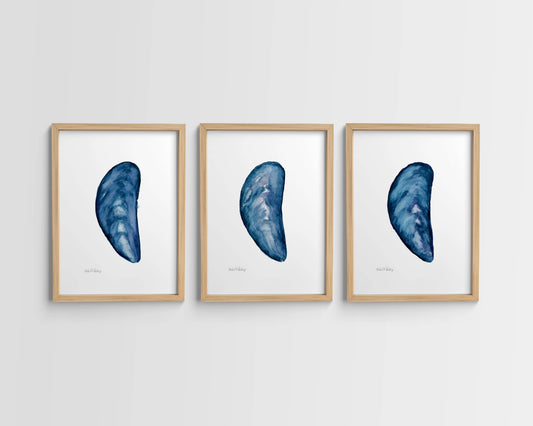 Mussel Shell Singles, Watercolor