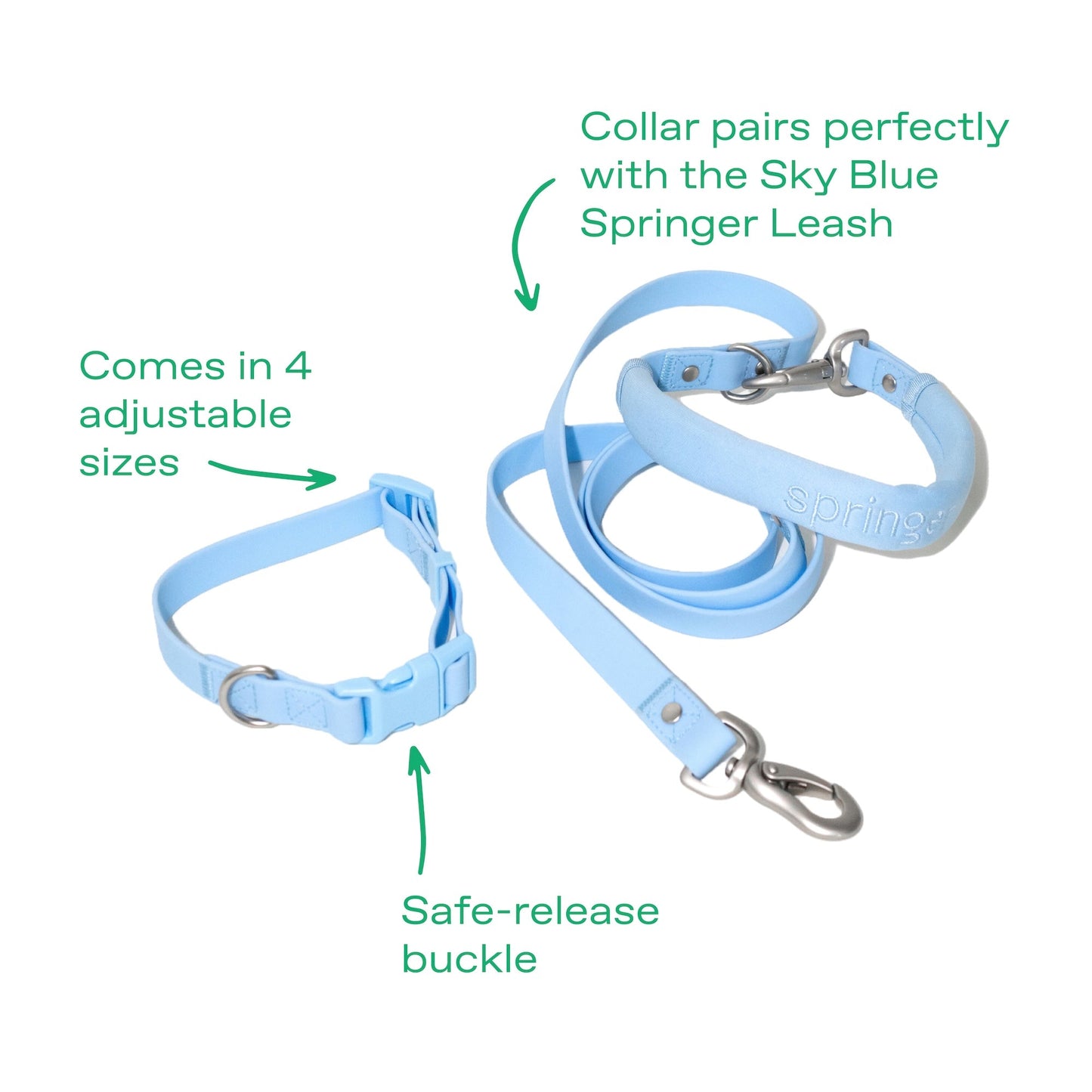 The Dog Leash