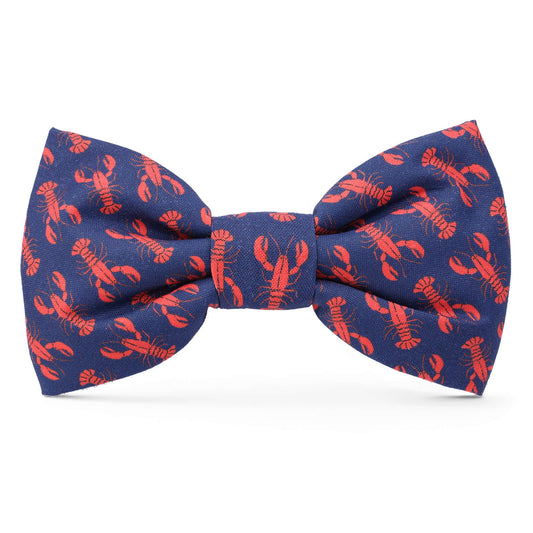 Catch of the Day Navy Dog Bow Tie