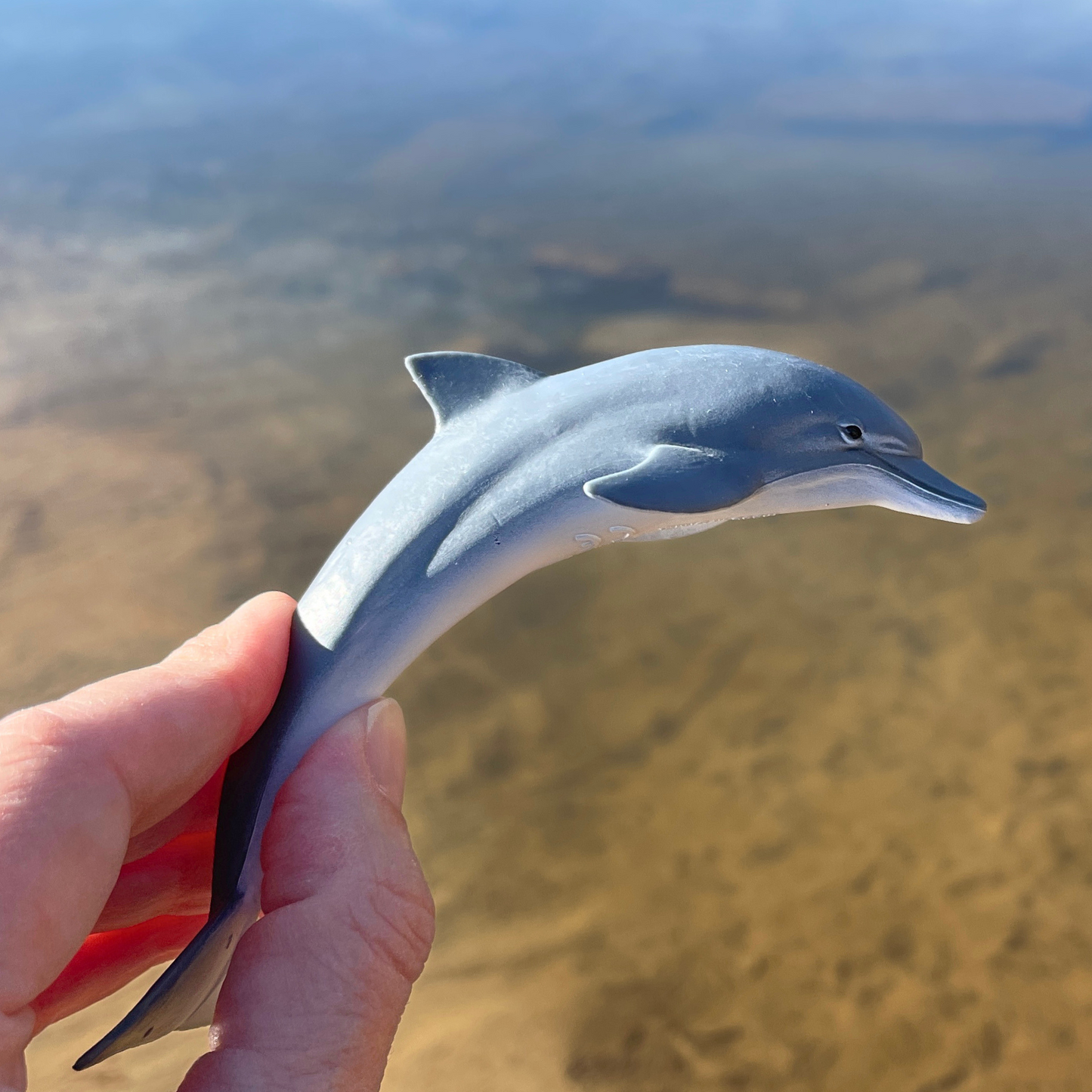 Safari Ltd Dolphin figurine held over water for size reference
