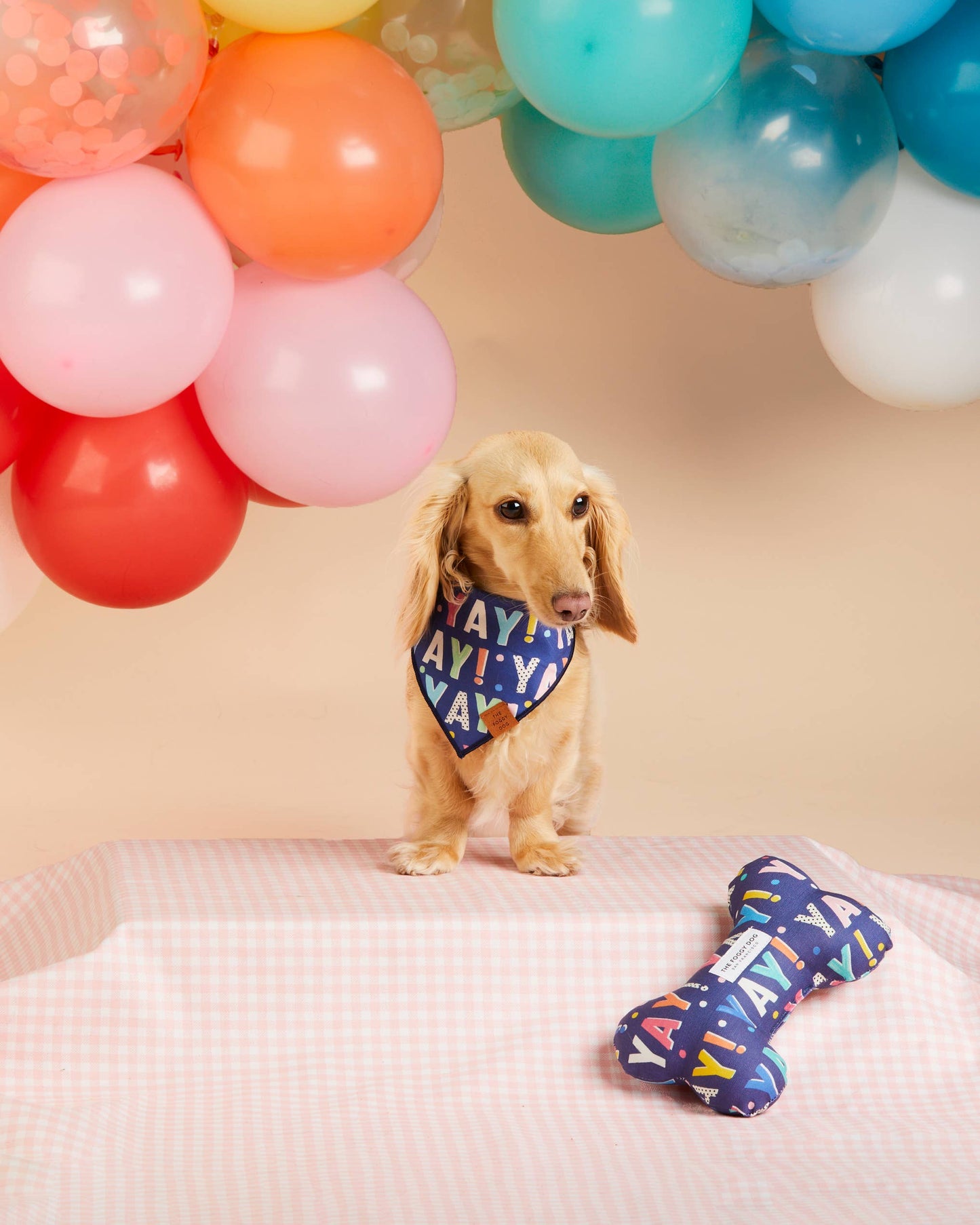 Birthday Yay Navy Dog Bandana: Small