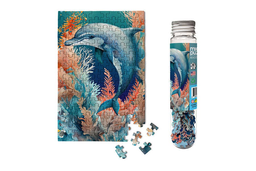 Dolphin - Marine Life