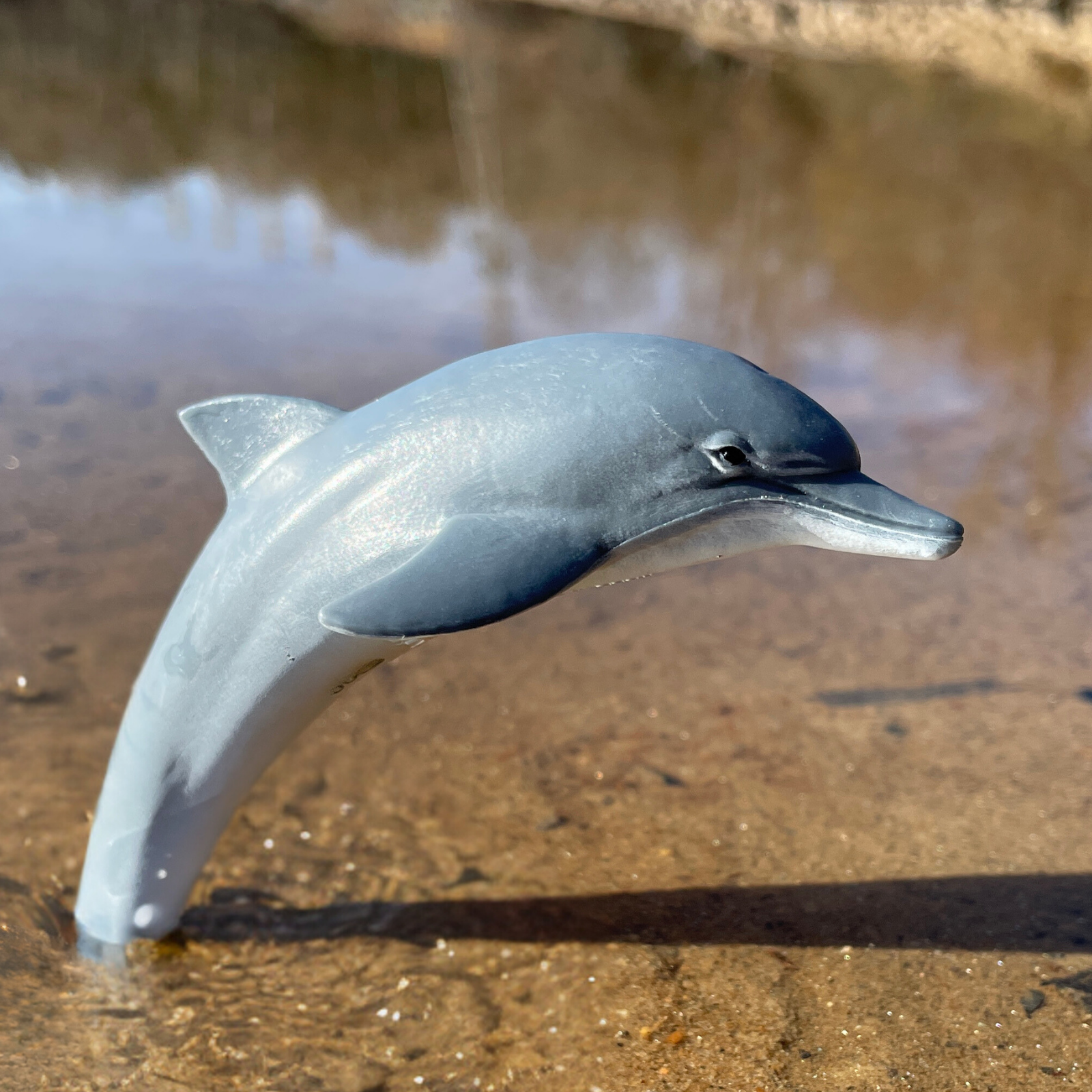 Safari Ltd Dolphin figurine lifestyle shot