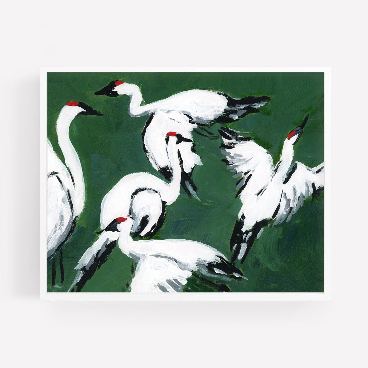 Sandhill Crane Grouping, Jade, Fine Art Print