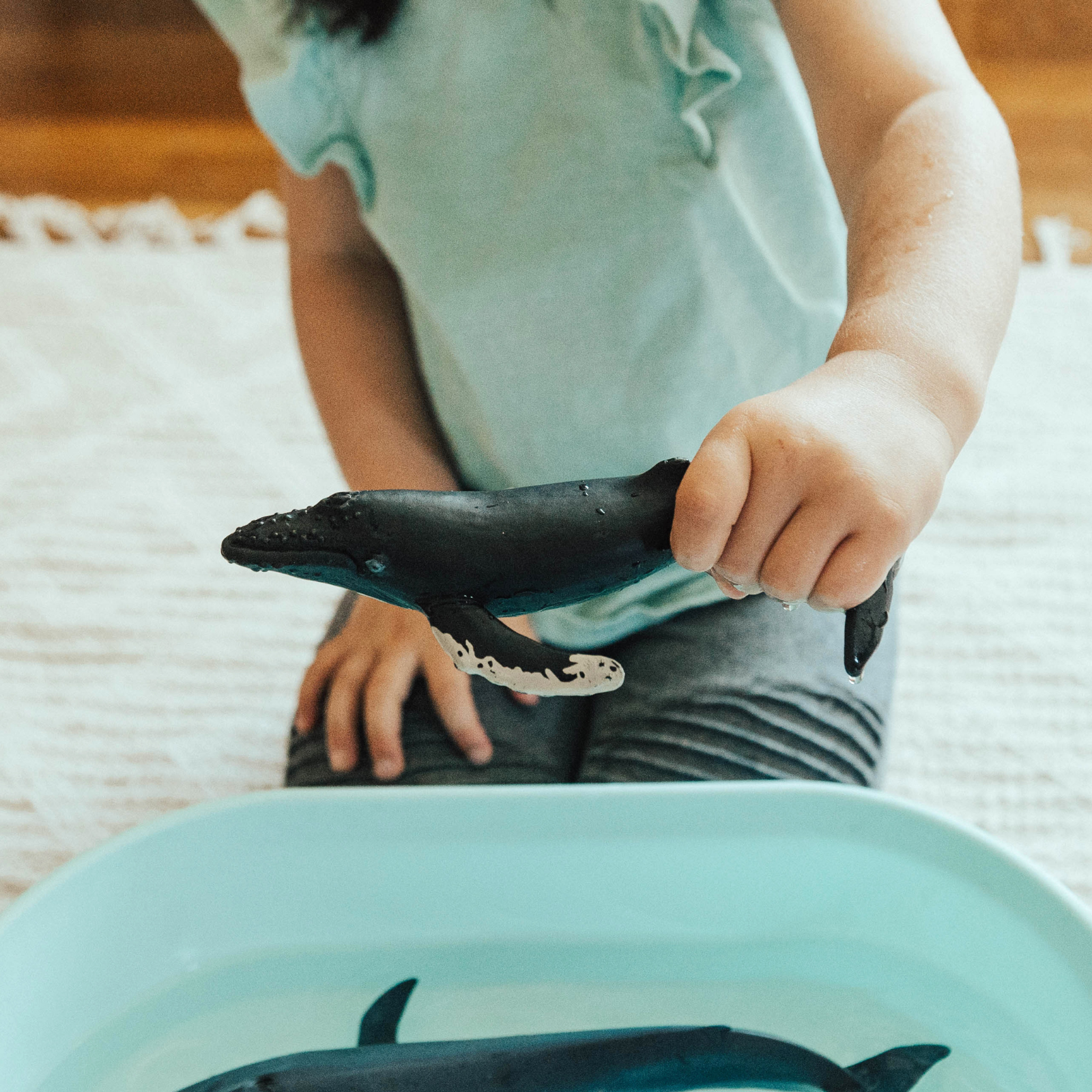 Safari Ltd Humpback Whale size comparison