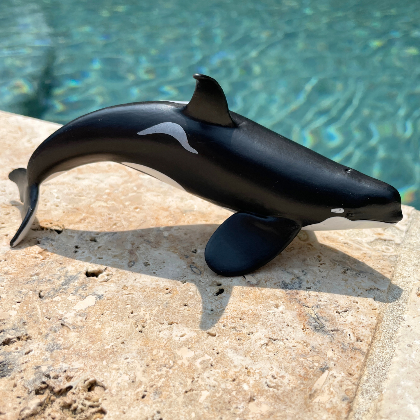 Wild Safari Sea Life Type D Orca figurine - view 4