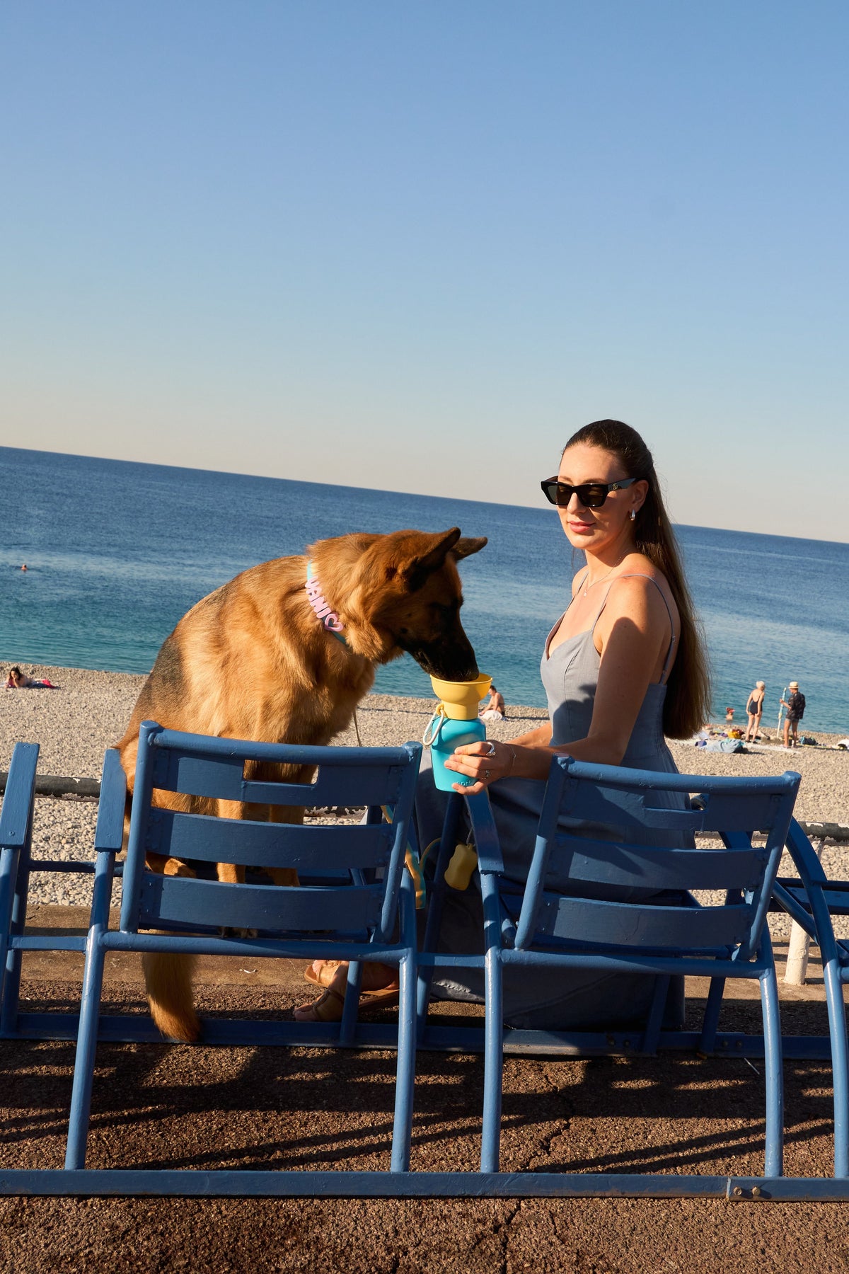 20oz Flip Springer Dog Travel Water Bottle