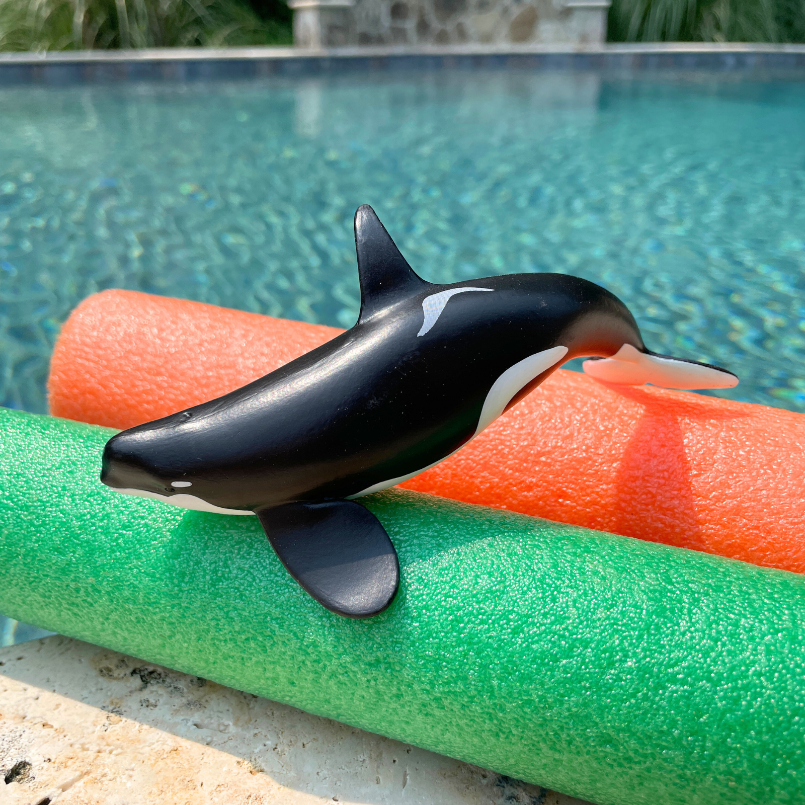 Wild Safari Sea Life Type D Orca figurine - view 5