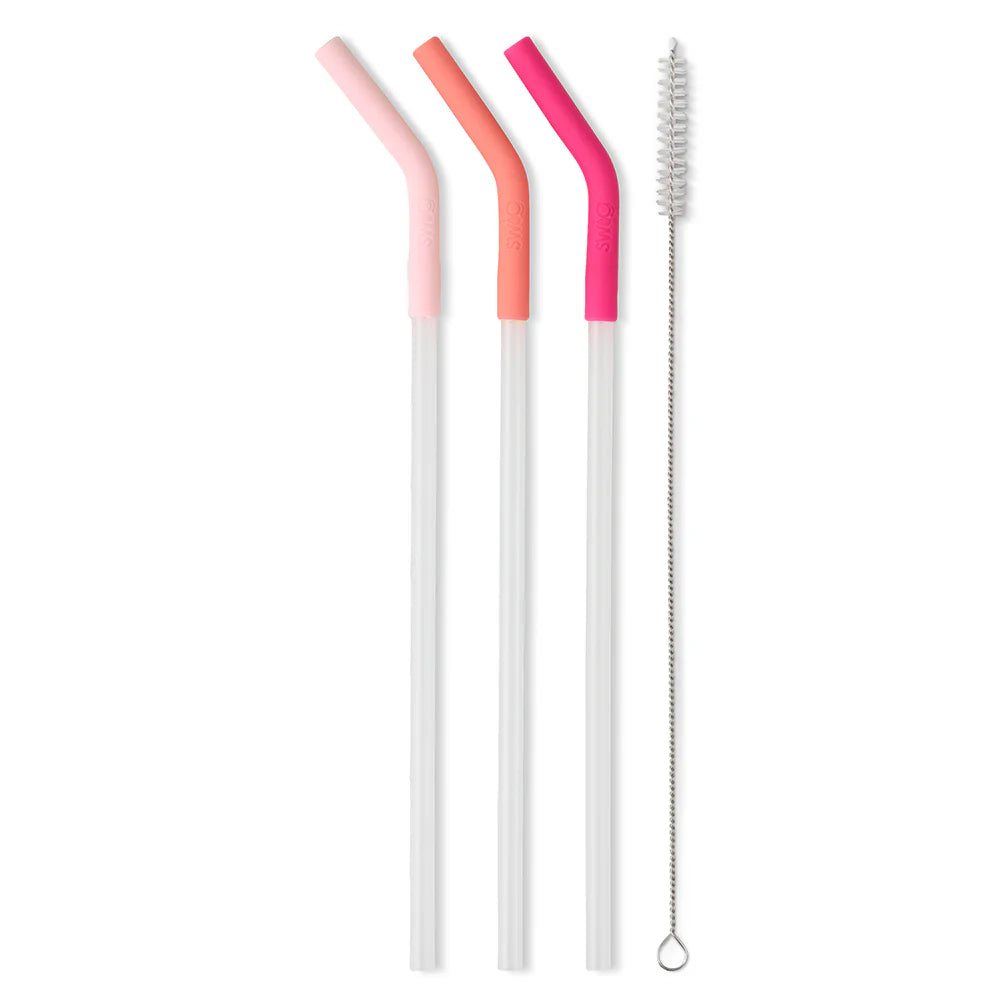 Blush/Coral/Hot Pink Reusable Straw Set Mega Mug