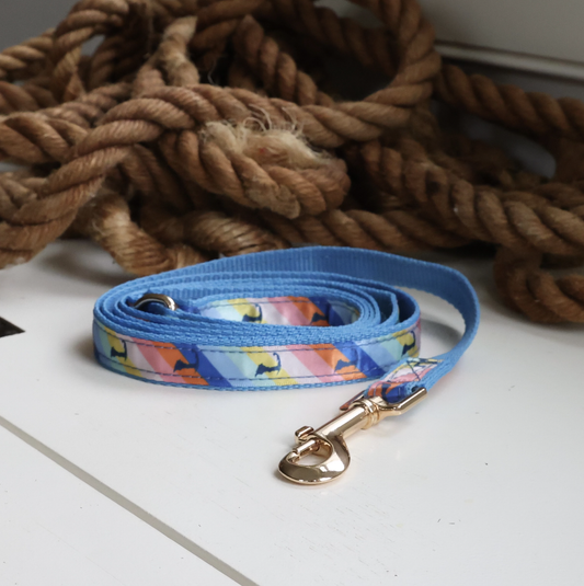Cape Cod Life Beachfront 🌈 Rainbow Leash