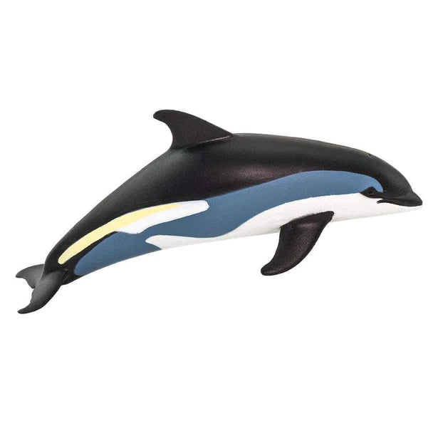 Sea Life